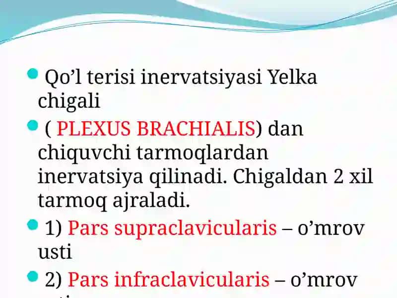 Qo'l va oyoq terisi inversiyasi 2