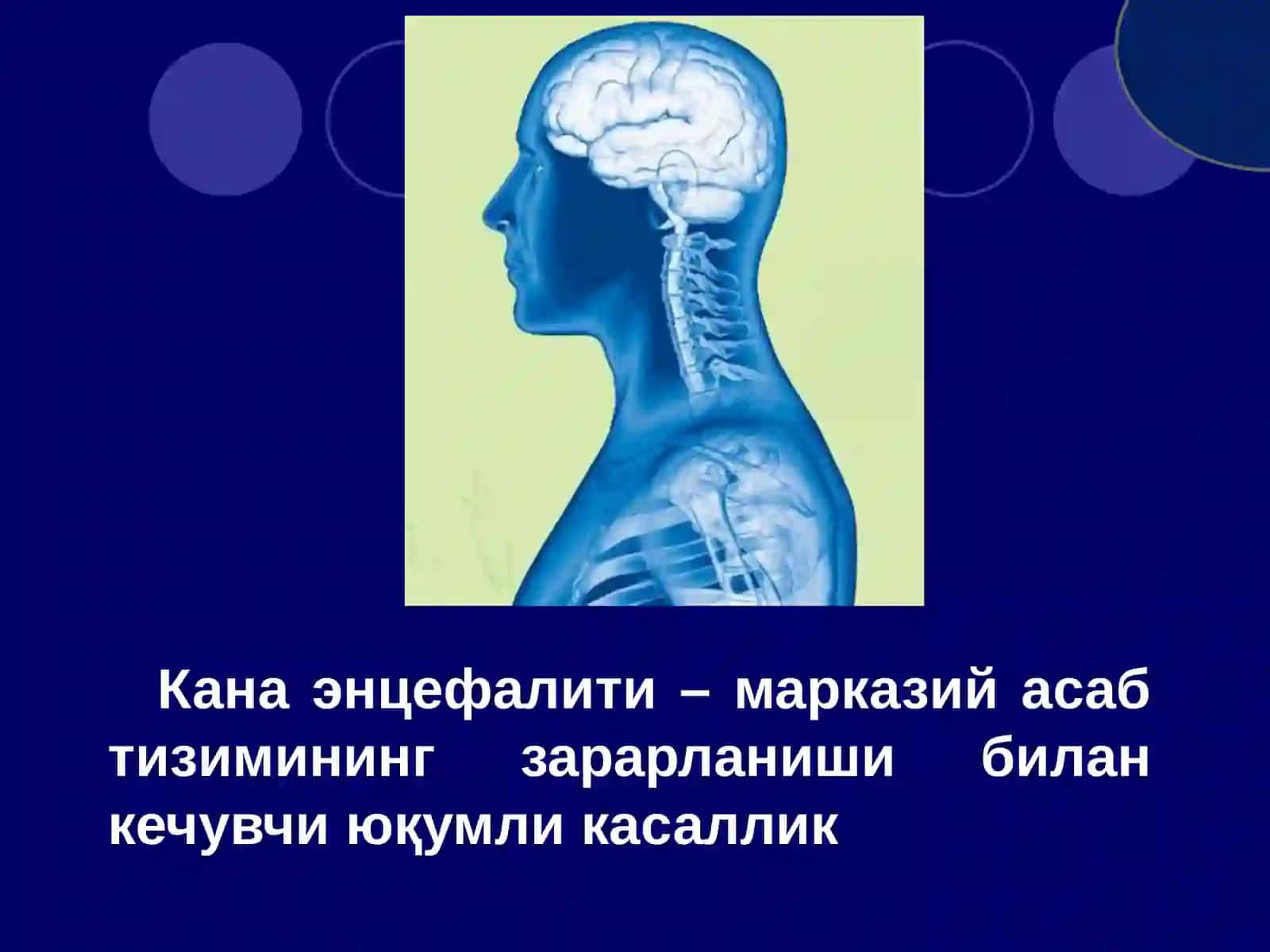 Кана энцефалити 2