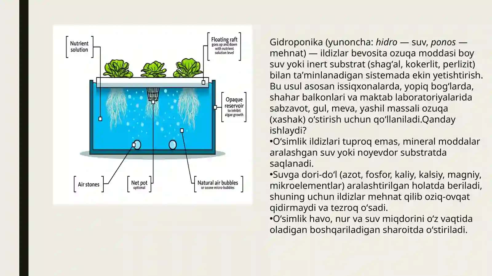Gidroponika usulida mahsulot yetishtirish binolar balkonida 2