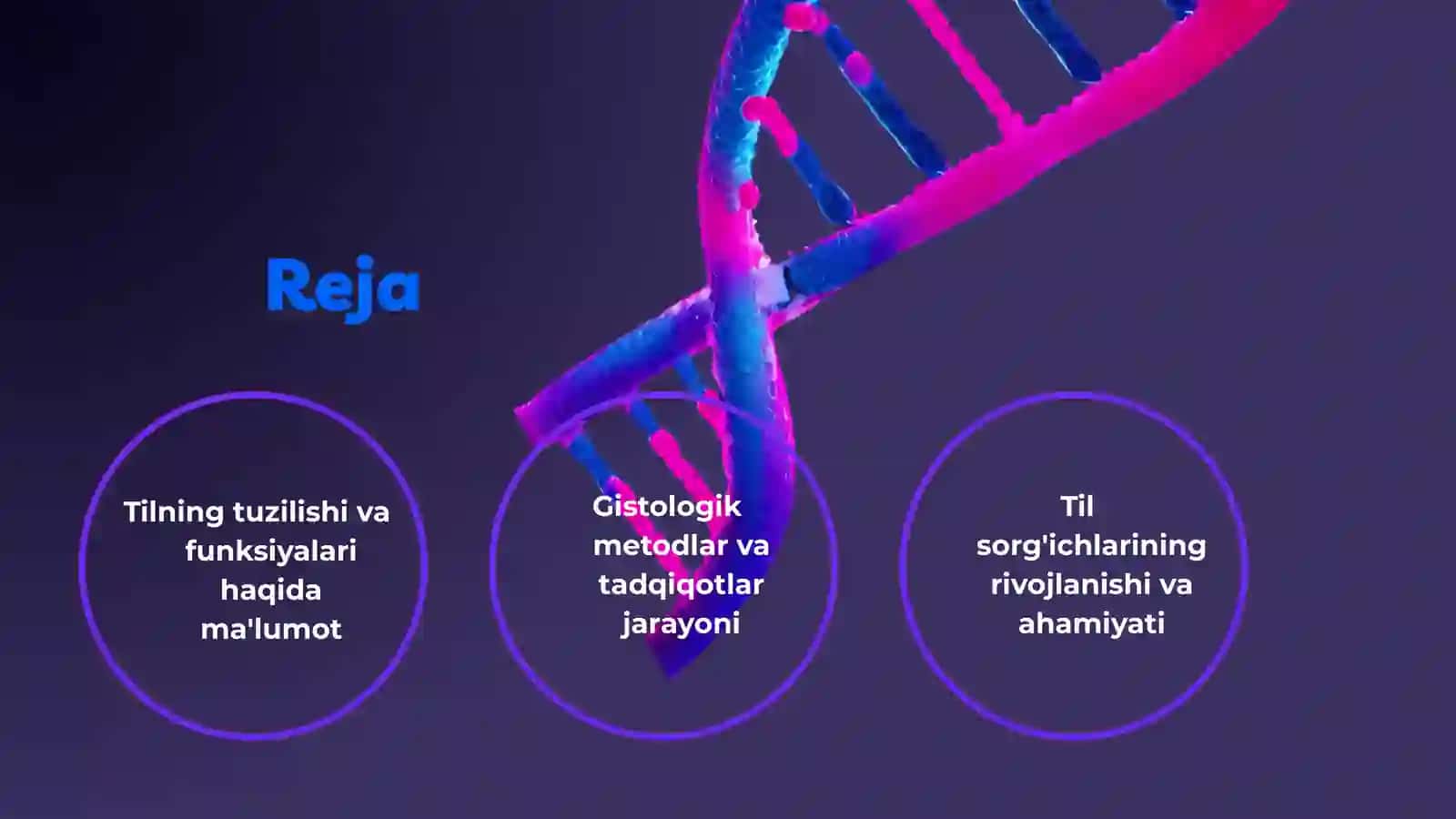 Til gistologiyasi va til sorg'ichlari gistologiyasi 2