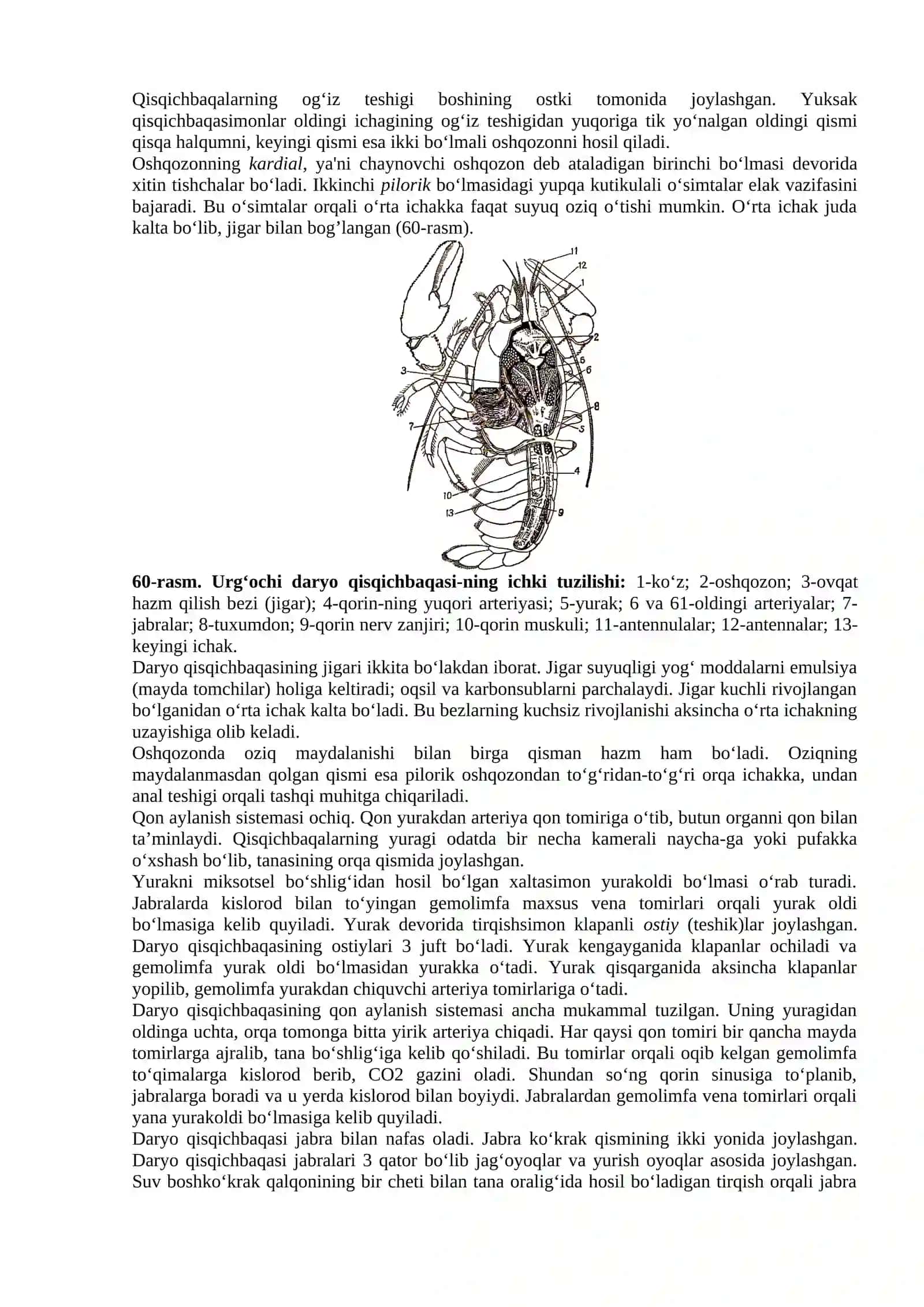 Dаryo Qisqichbаqаsi Tuzilishi vа Fiziologiyasi 2