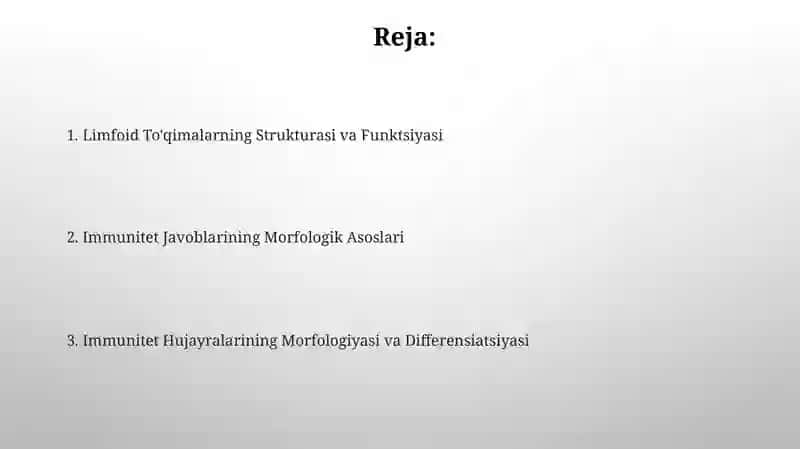 Immun himoya reaksiyalarining morfologik asoslari 2