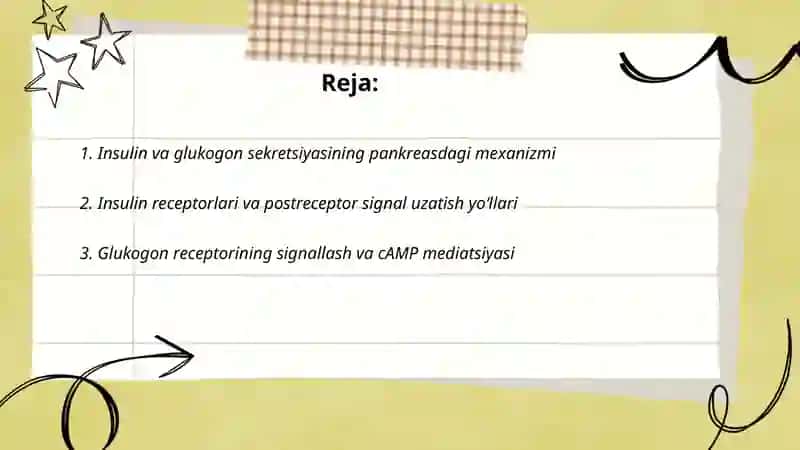 Odam organizmida kechadigan metabolitik jarayonlarda insulin va glukogonning roli 2