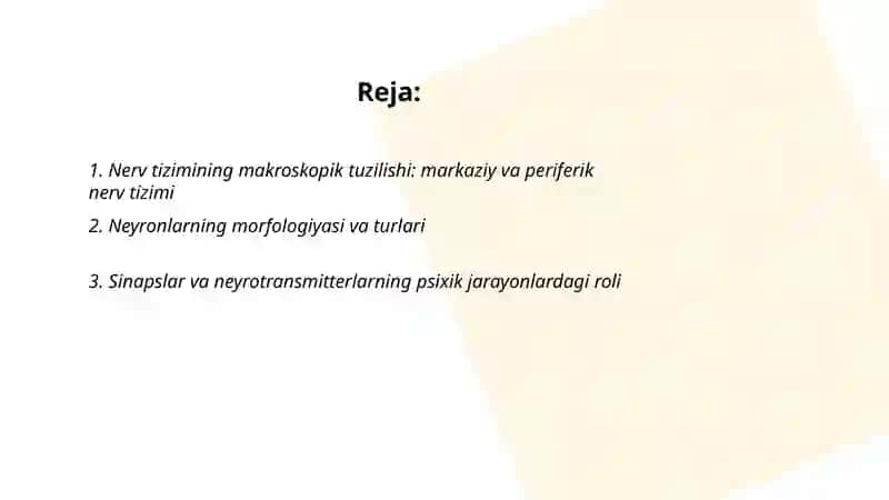 Nerv tizimi tuzilishi va uning psixik jarayonlardagi roli 2