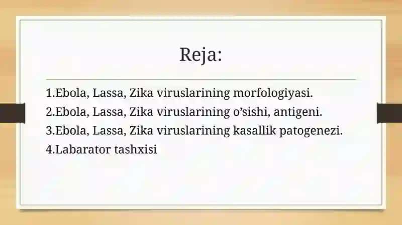 Ebola, Lassa, Zikaviruslari 2