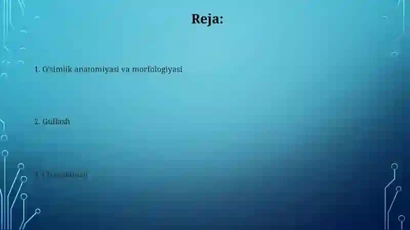 O'simlik anatomiyasi va morfologiyasi 2