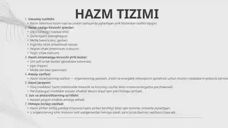 HAZM TIZIMI 2