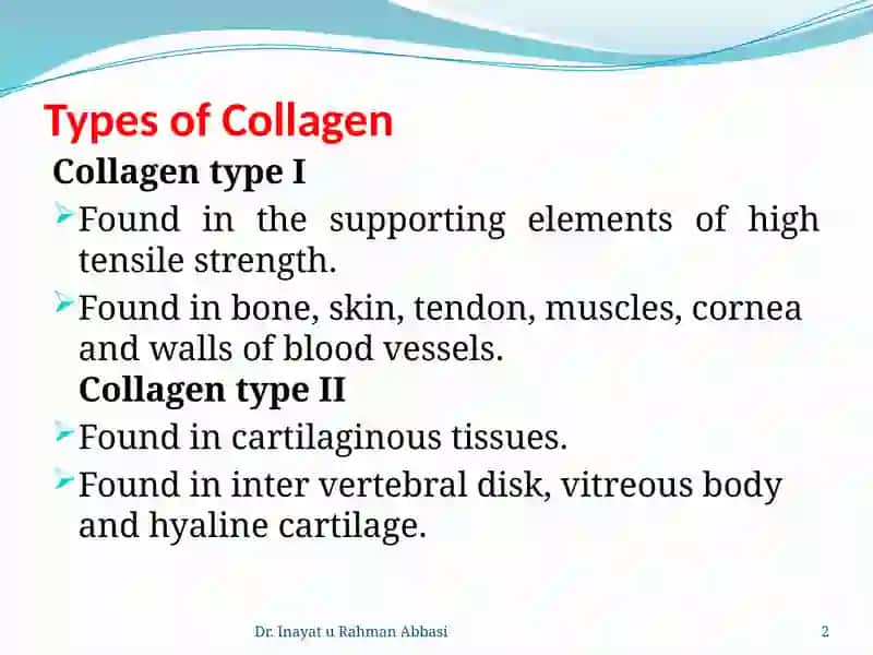 Types of collagen 2