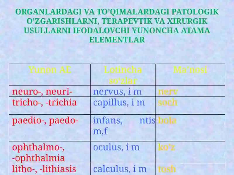 YUNONCHA ATAMA ELEMENTLAR 2