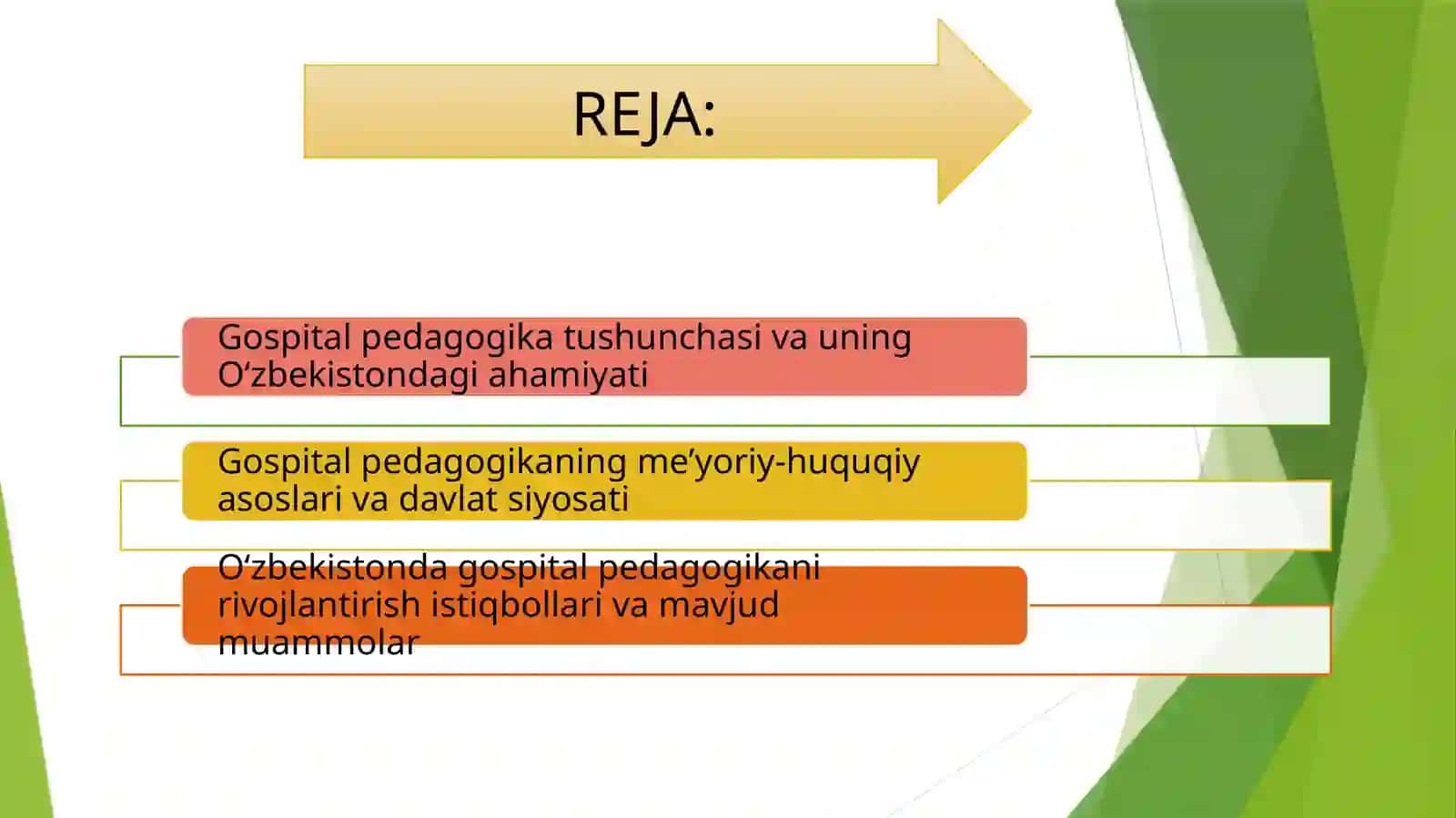 Oʻzbekistonda gospital pedagogikaning me’yoriy-huquqiy bazasini tahlil qilish 2