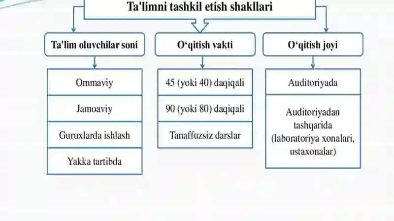 O'zbekistonda Universitet ta'limi xusuyatlari 2