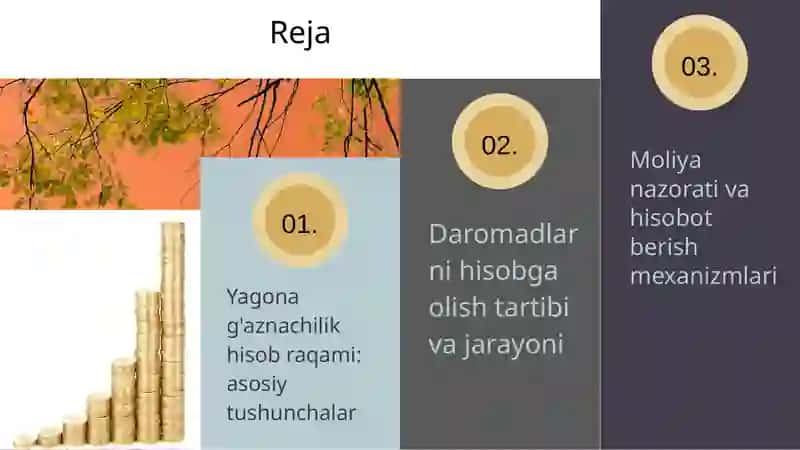 Davlat budjeti daromadlarini yagona g’aznachilik hisob raqamida hisobga olish xususiyatlari 2