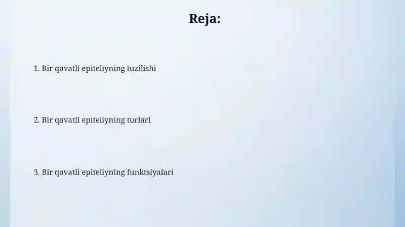 Bir qavatli epiteliy 2