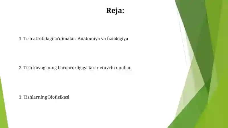 Tish atrofidagi to'qimalar: Anatomiya va fiziologiya 2