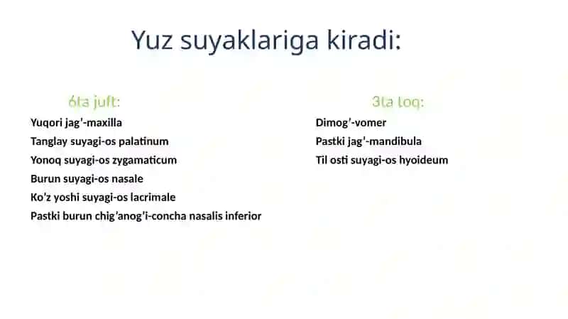 Yuz suyaklari (Cranium viscerale) 2