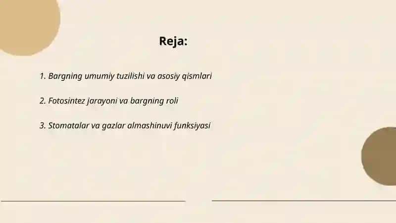 Barg va uning vazifalari 2