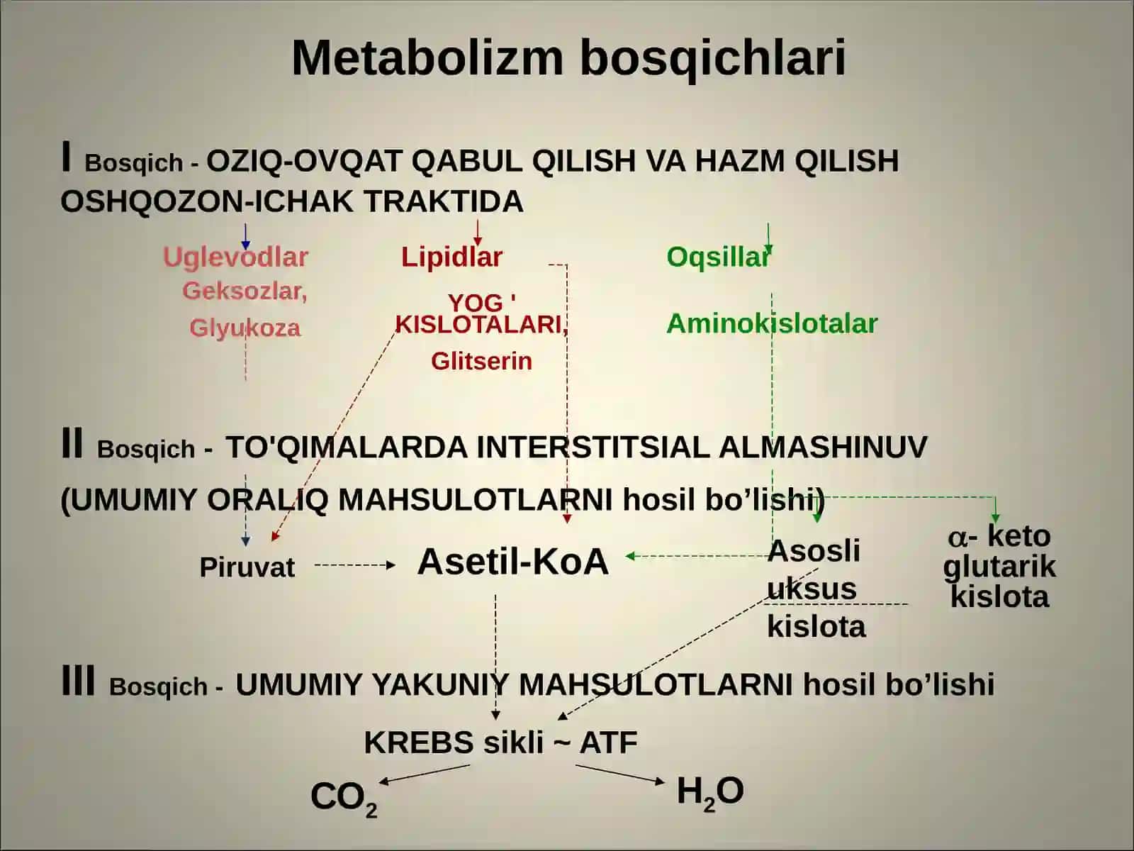 Energiya almashinuvi buzilishi. Toʻliq, toʻliq boʻlmagan ochlik 2