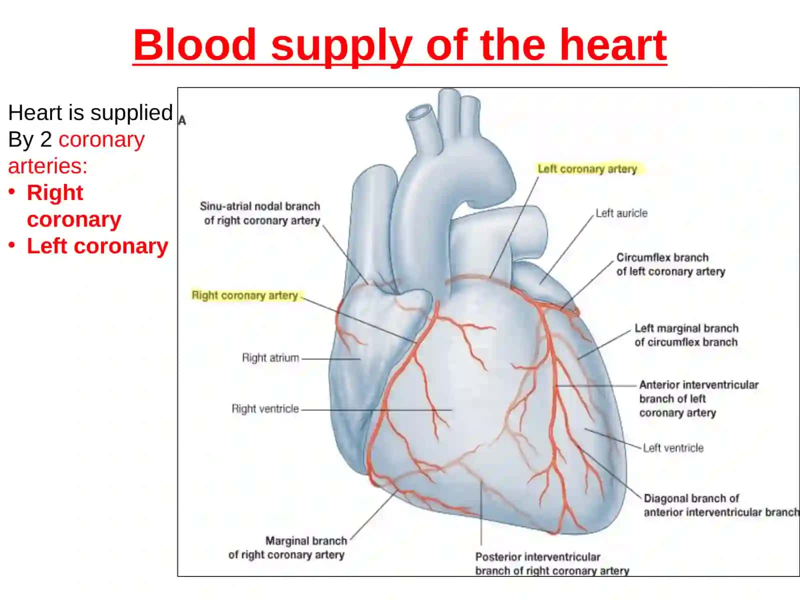Anatomy of THE HEARTcon’t 2