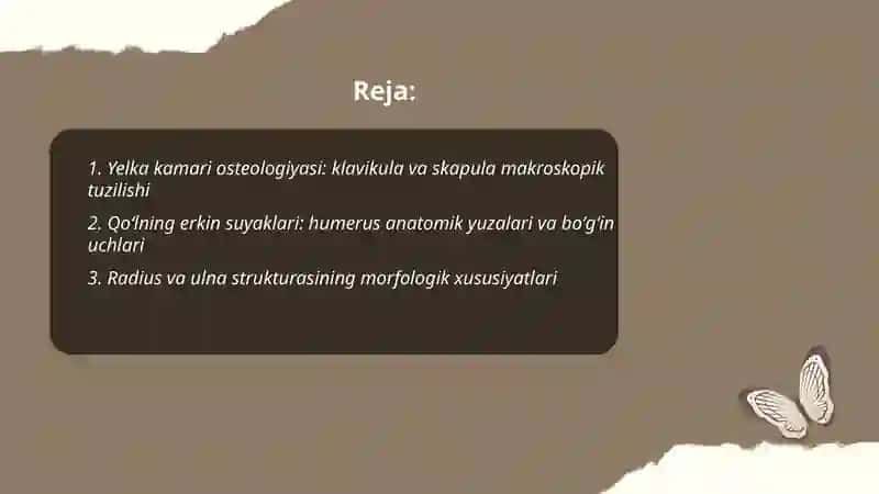 Yelka kamari va qoʻl erkin qismi suyaklari 2
