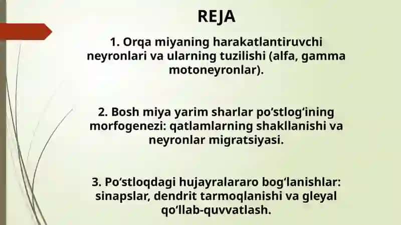 Orqa miyaning harakatlantiruvchi neyronlarning turlari, ularning morfo - funksional xususiyatlari. Bosh miya yarim sharlari po'stlog'ining morfogenezi. Bosh miya yarim sharlar po'stlog'ida hujayralararo bog'lanishlar. 2