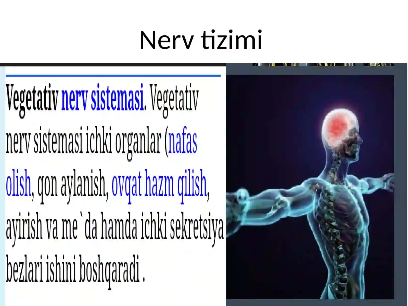 Vegetativ nerv sistema faoliyatini o'rganish 2