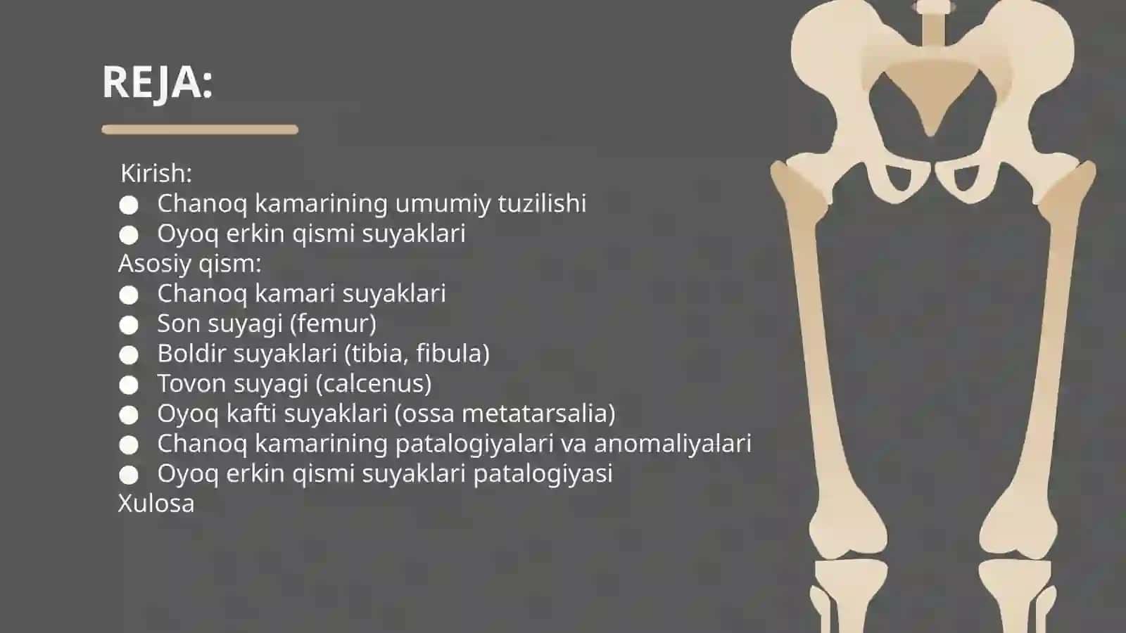 Chanoq kamari va oyoq erkin qismi suyaklari : tuzilishi va ularning yoshga doir xususiyatlari 2