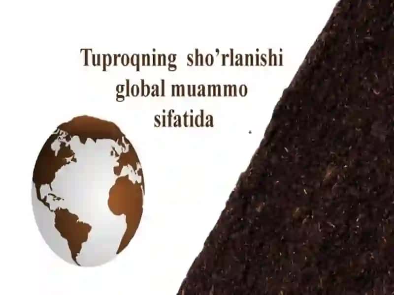 Ekologiya va atrof muhit muhofazasi ta'lim yo'nalishi 2