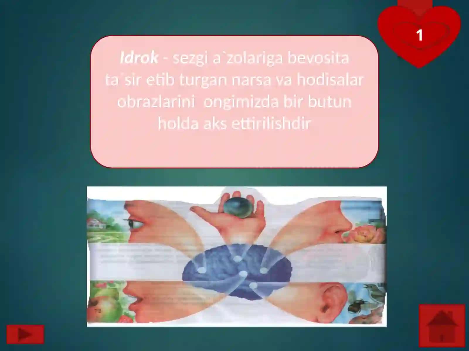 O‘zbekiston Milliy Unversiteti Tarix Arxeologiya yo‘nalishi lll-bosqich Ashurov Ravshanbekning umumiy psixologiya fanidanTAQDIMOTI 2