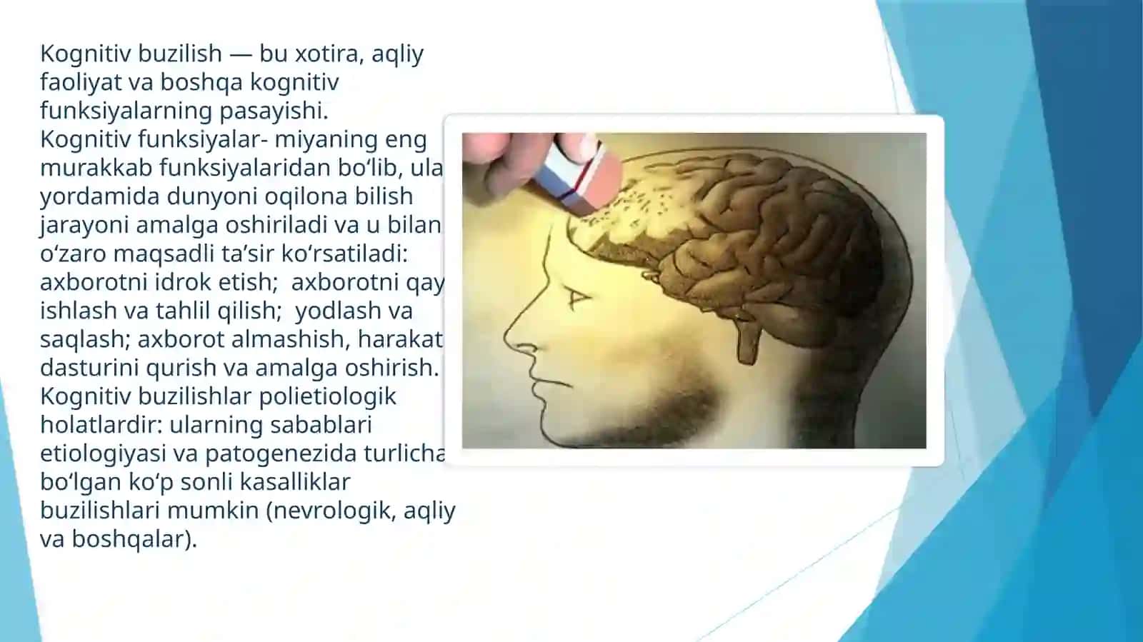 Kognitiv buzilishlar. Alsgeymer kasalligi 2