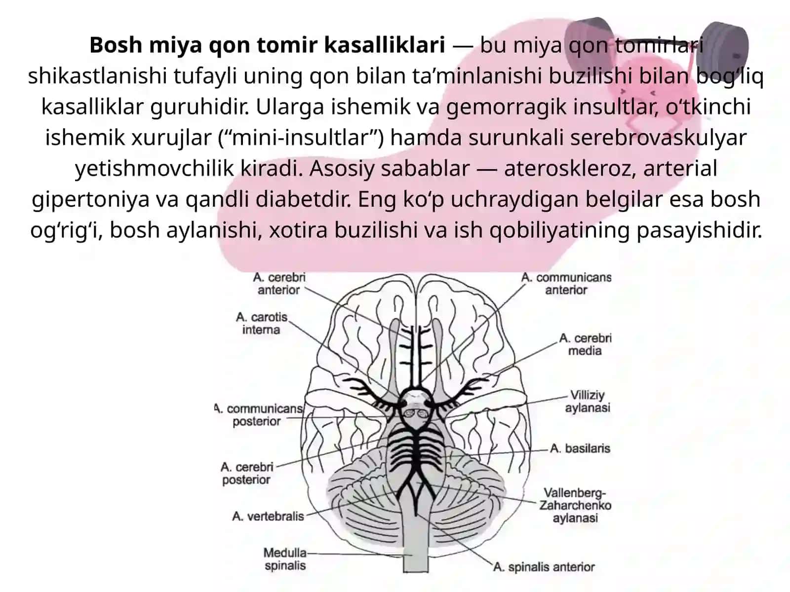 Bosh qon tomir kasalliklari nur tashxisoti(diagnostikasi) 2