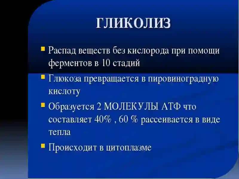 Гликолиз 2