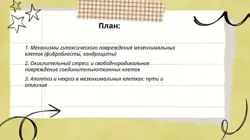 Повреждения клетки. Мезенхимального происхождение 2