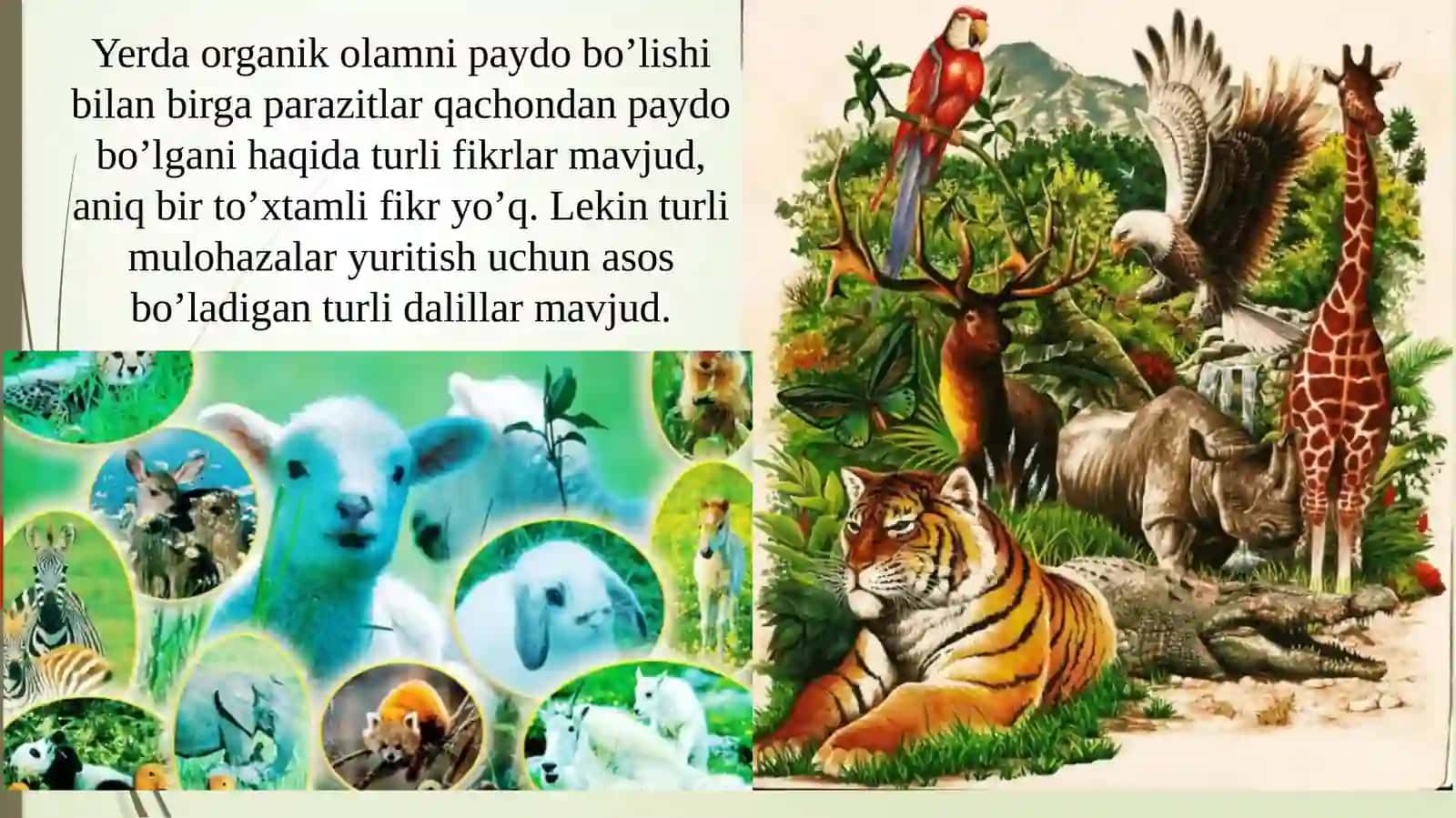 PARAZIT VA XO’JAYIN ORASIDAGI BOG’LANISHNING TURLI-TUMAN SHAKL 2