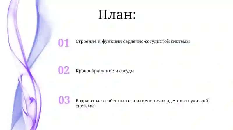 Анатомия сердечно-сосудистой системы 2