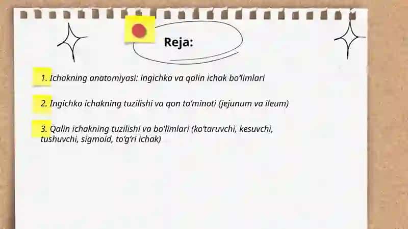 Ichaklar tuzilishi joylashishi va ularda uchraydigan xirurgik kasalliklar 2
