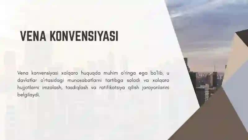 VENA CONVENSIYASI 2