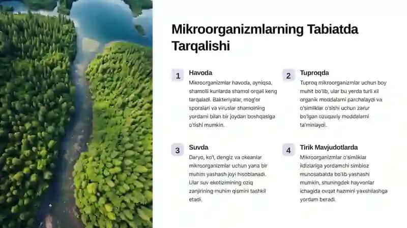 Mikroorganizmlarning Tabiatda Tarqalishi 2