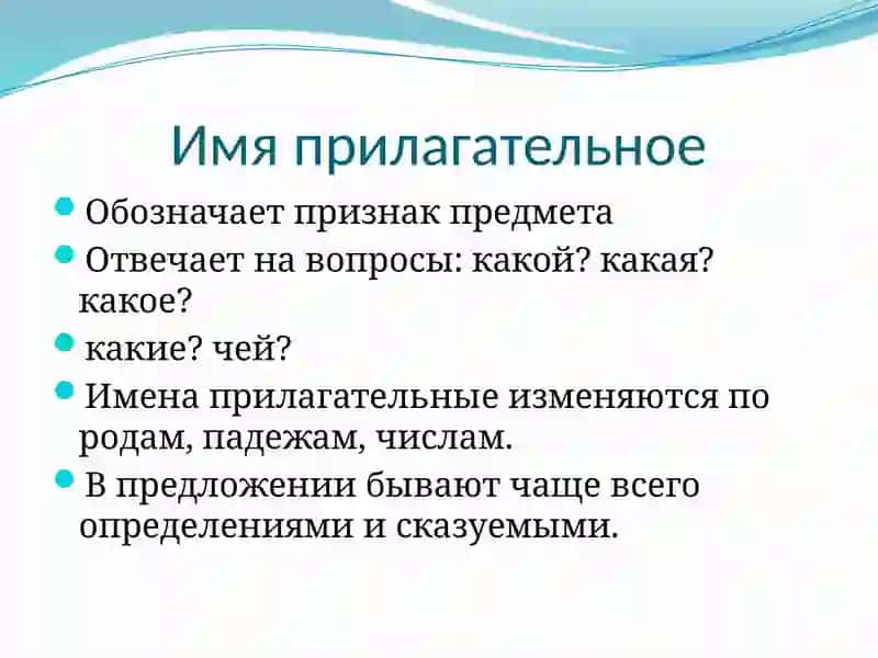 Имя прилагательное 2