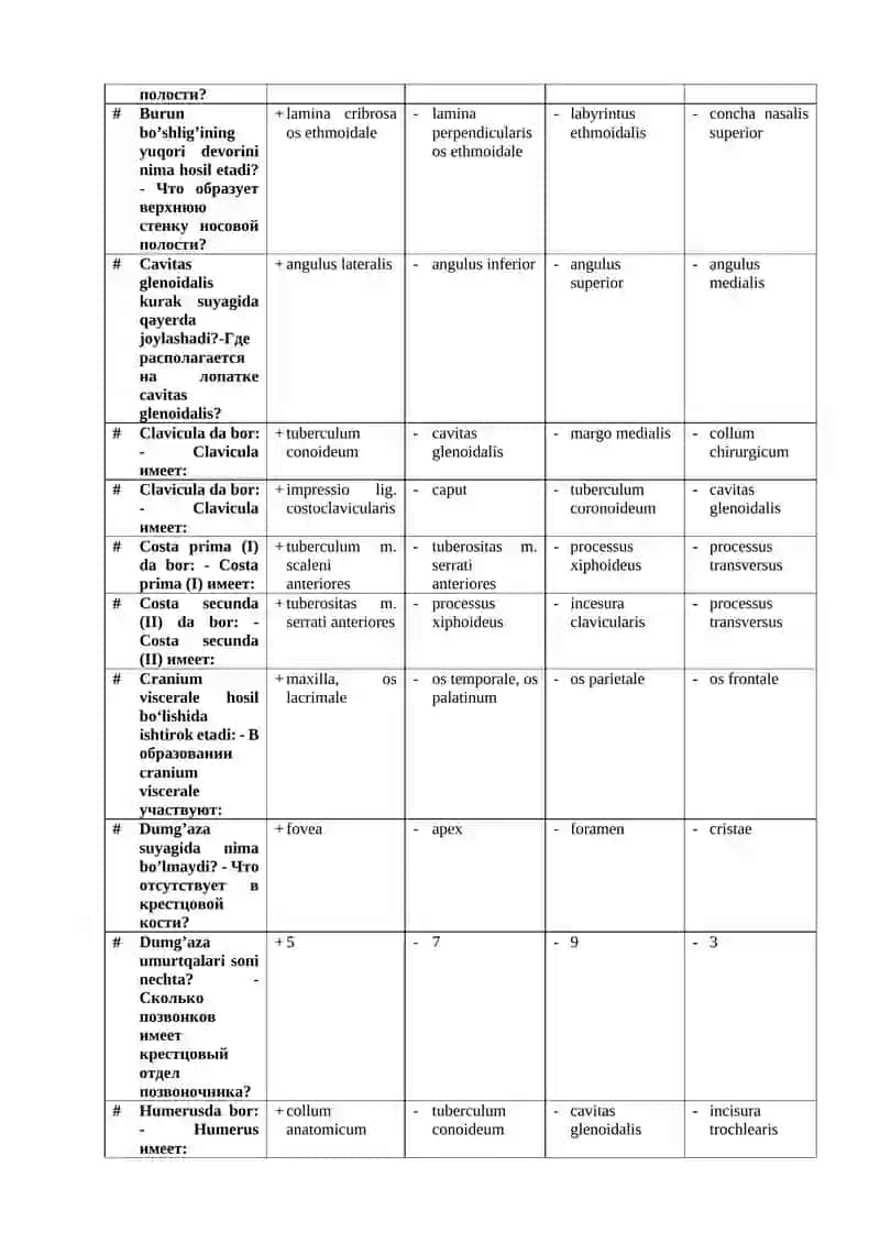 Bilak suyagi anatomiya 2