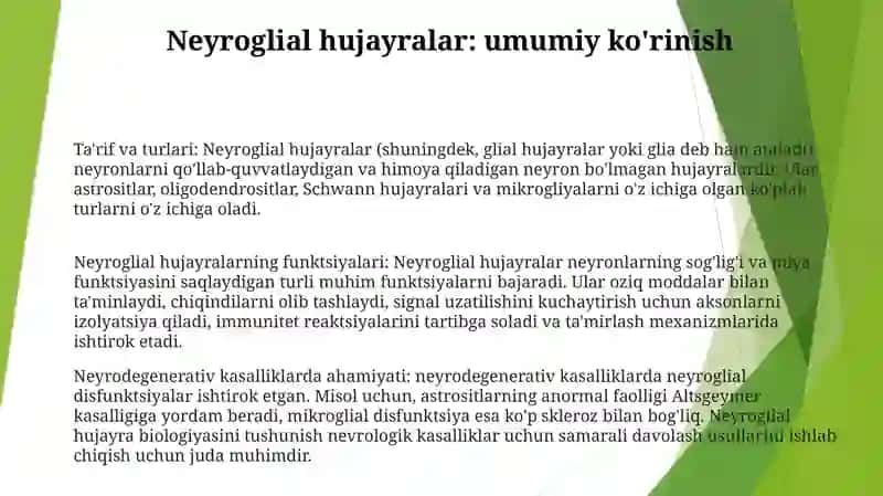 Neyrogliya Hujayralarining Xillari Va Funksiyalari 2