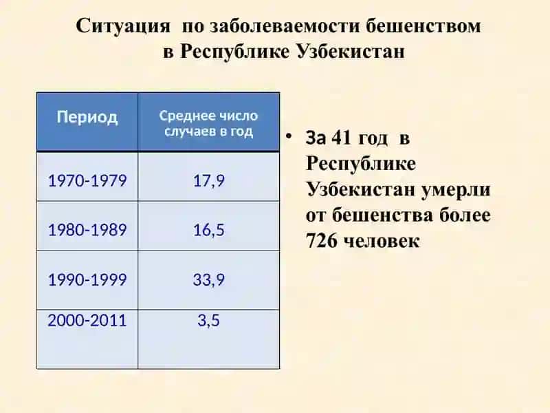 Қутуриш касаллиги 2