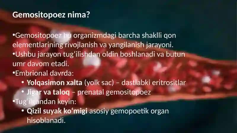 Gemositopoezni neyro-gumoral boshqarilishi 2