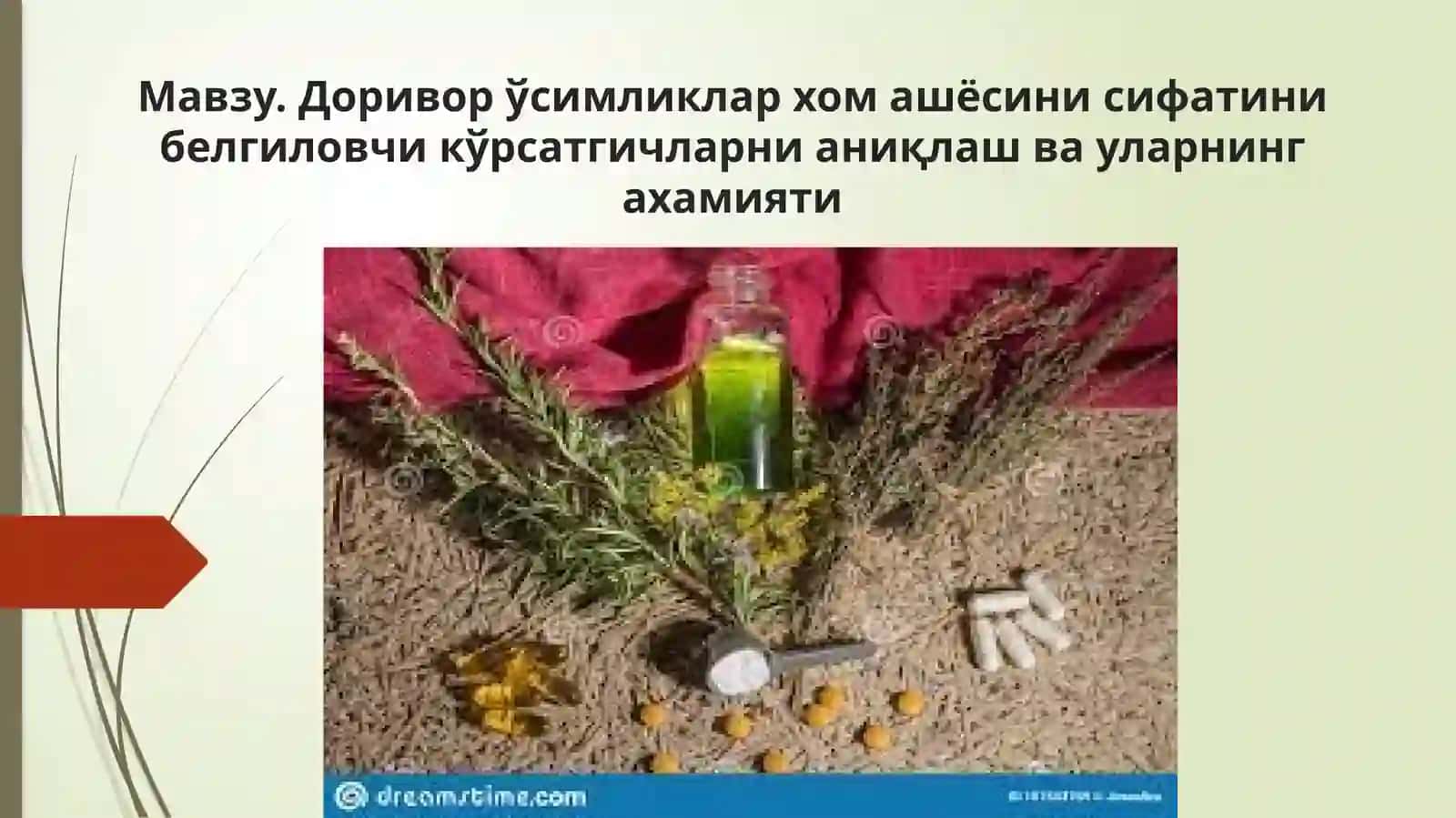Доривор ўсимликлар хом ашёсини сифатини белгиловчи кўрсатгичларни аниқлаш ва уларнинг ахамияти 2