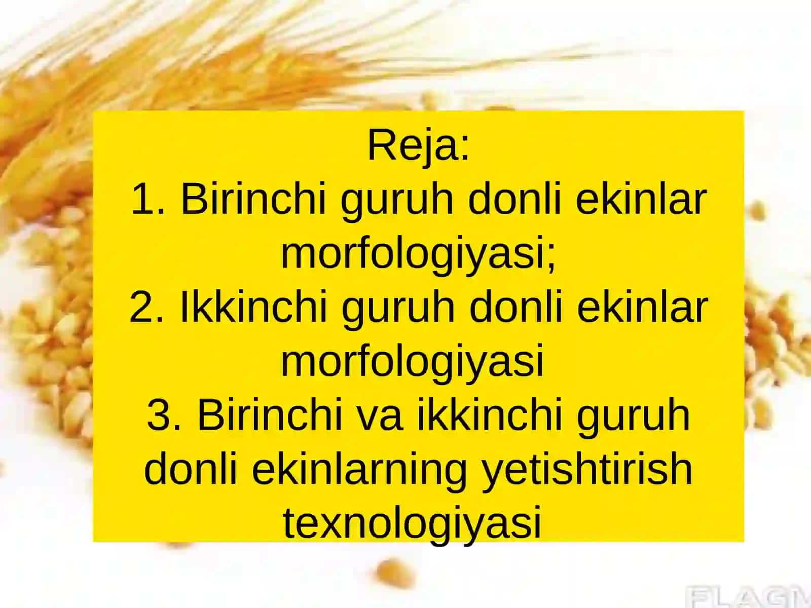 DONLI EKINLAR VA ULARNI YETISHTIRISH TEXNOLOGIYASI 2
