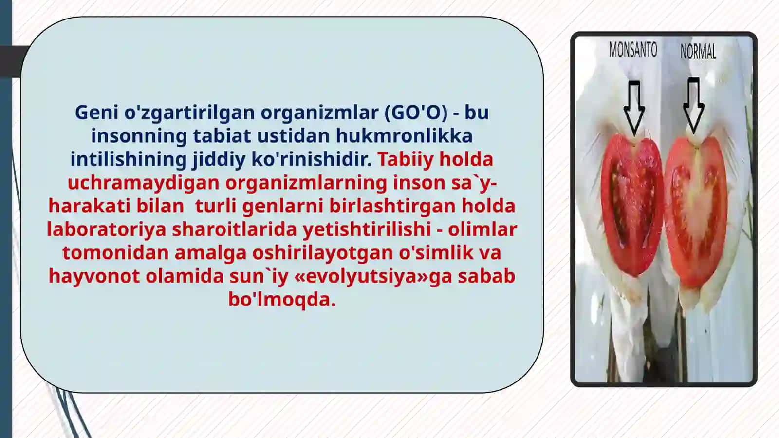 Geni o‘zgartirilgan organizmlarning chiqarilishida sinov muhitlari 2