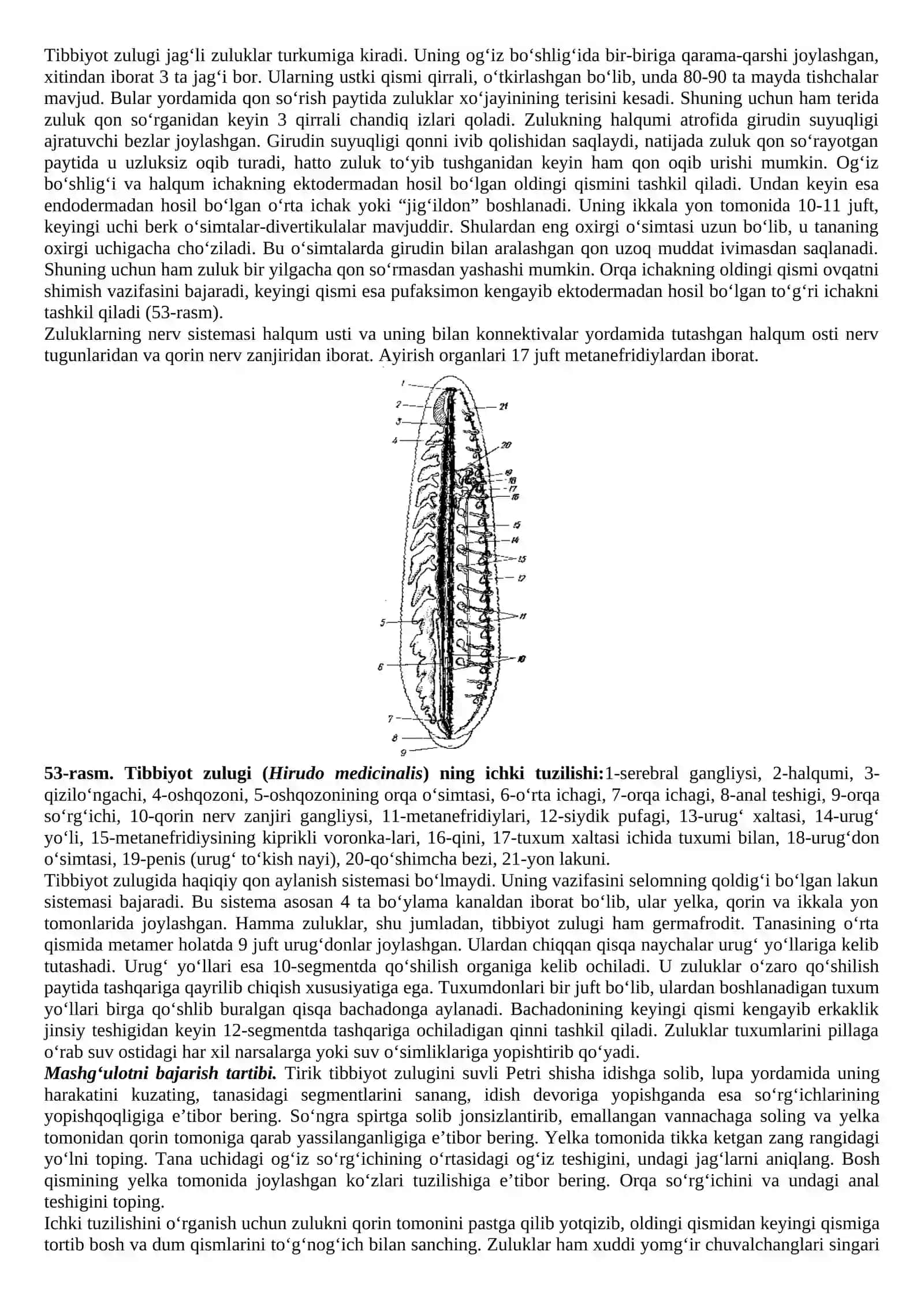 Mavzu: Zuluklar (Hirudinea) sinfi vakili tibbiyot zulugining tashqi va ichki tuzilishi 2