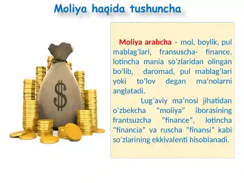 Moliya asoslari faniga kirish 2