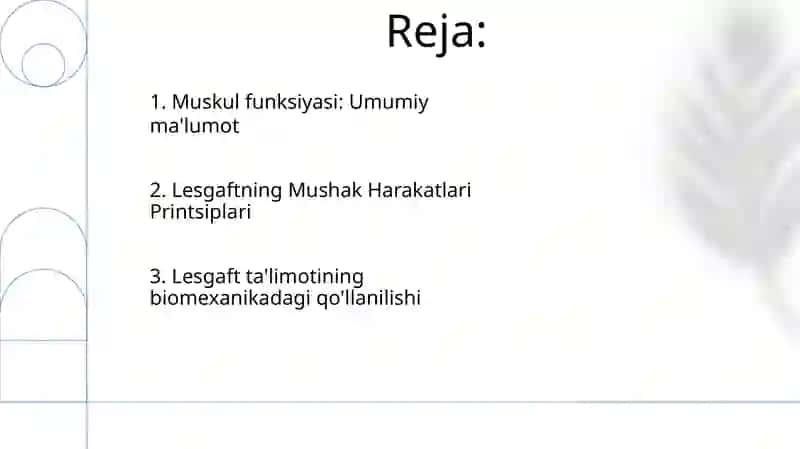 Muskul funksiyasi: Umumiy ma'lumot 2