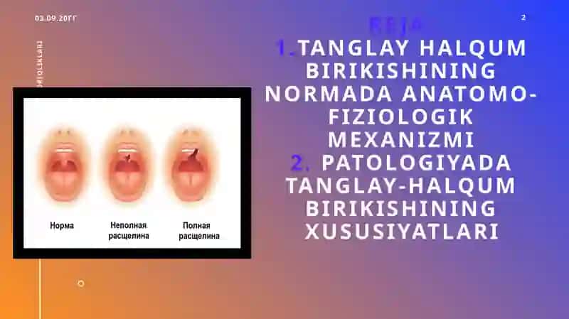 Normada va tug’ma tanglay yoriqliklarida tanglay-halqum birikish mexanizmi 2