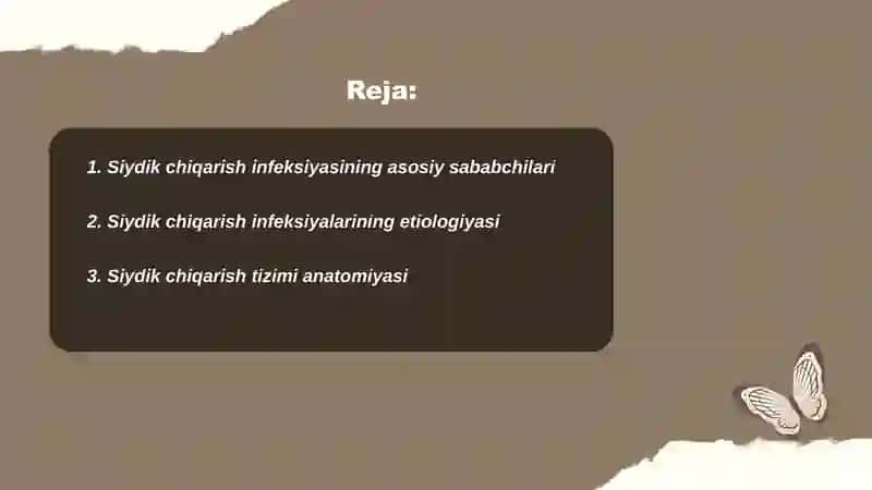 Siydik chiqarish infeksiyasi, etiologiya, patogenezi, klinika, diagnostika, davolash 2